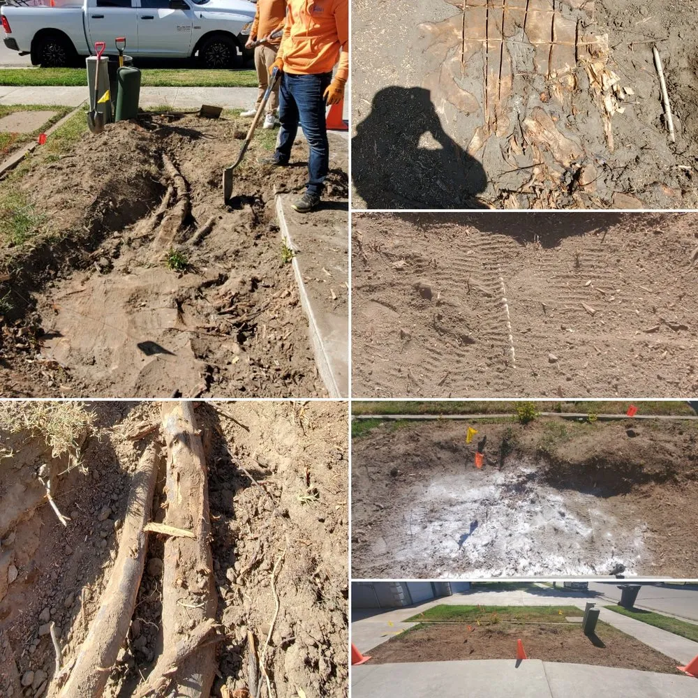 Affordable lawn mowing service for residential properties across Lemoore, CA - Melena's Complete Landscape