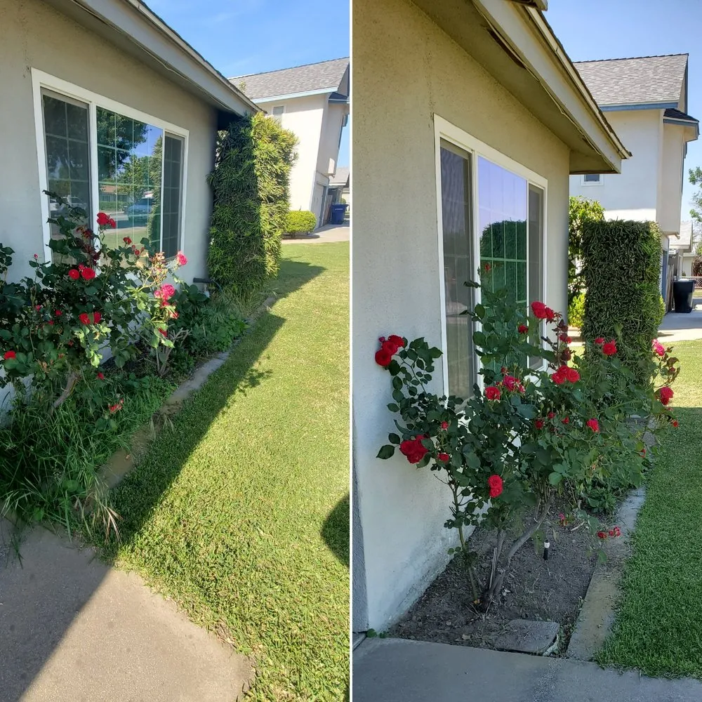 Top-rated landscape installation for beautiful yards across Lemoore, CA - Melena's Complete Landscape