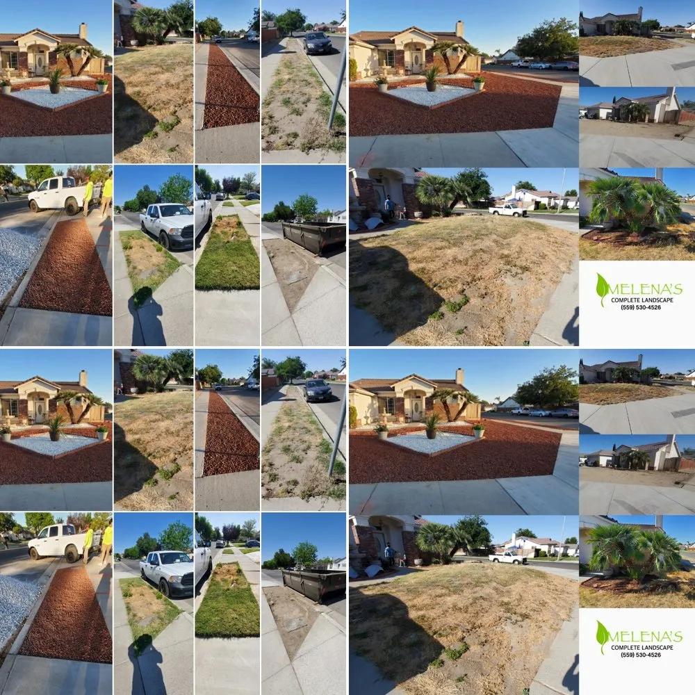 Professional landscaping services for beautiful yards across Lemoore, CA - Melena's Complete Landscape