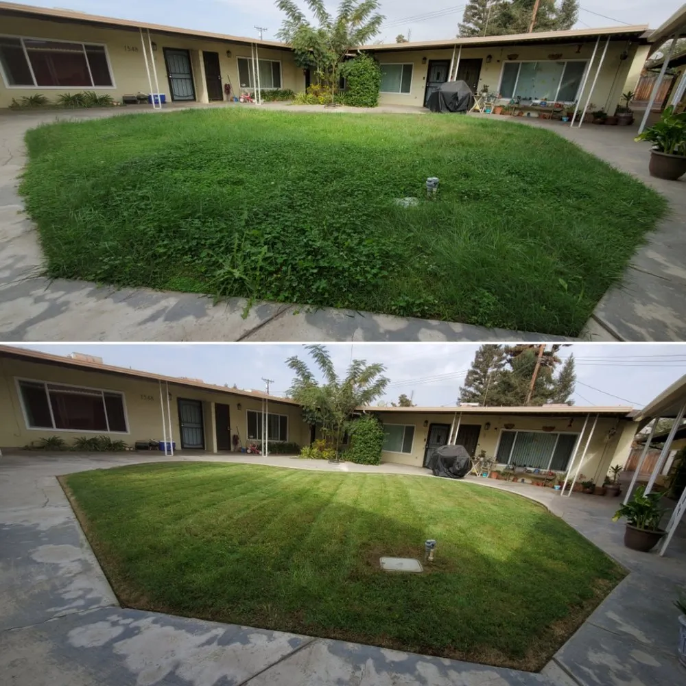 Professional lawn care service for beautiful yards across Lemoore, CA - Melena's Complete Landscape