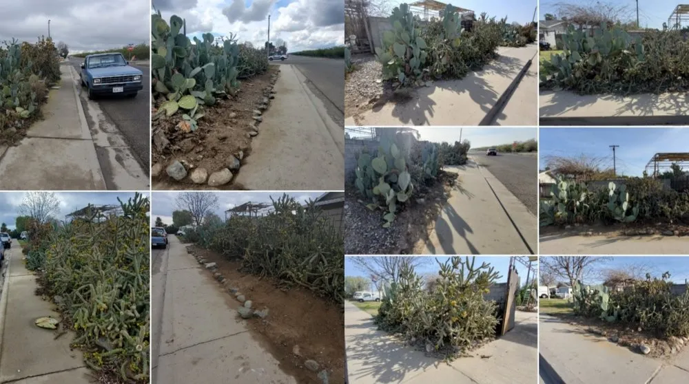 Reliable lawn mowing service for year-round maintenance across Lemoore, CA - Melena's Complete Landscape