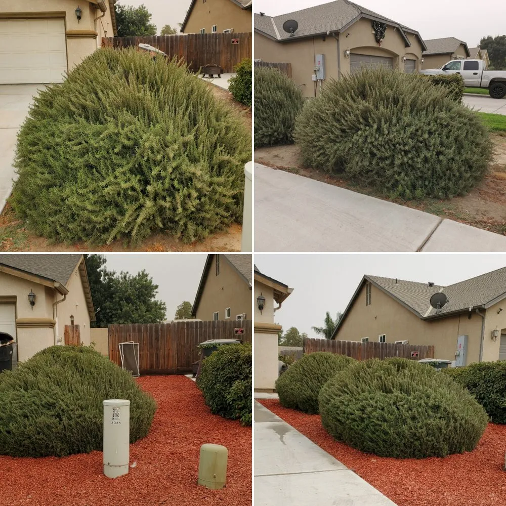 Top-rated lawn care service in Lemoore, CA by Melena's Complete Landscape
