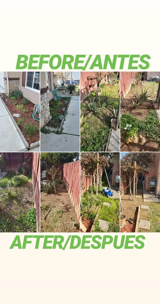 Local outdoor landscaping near you across Lemoore, CA - Melena's Complete Landscape