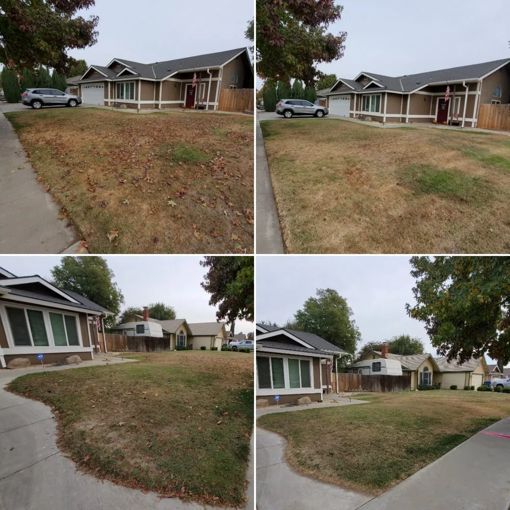 Local lawn care service experts serving Lemoore, CA - Melena's Complete Landscape