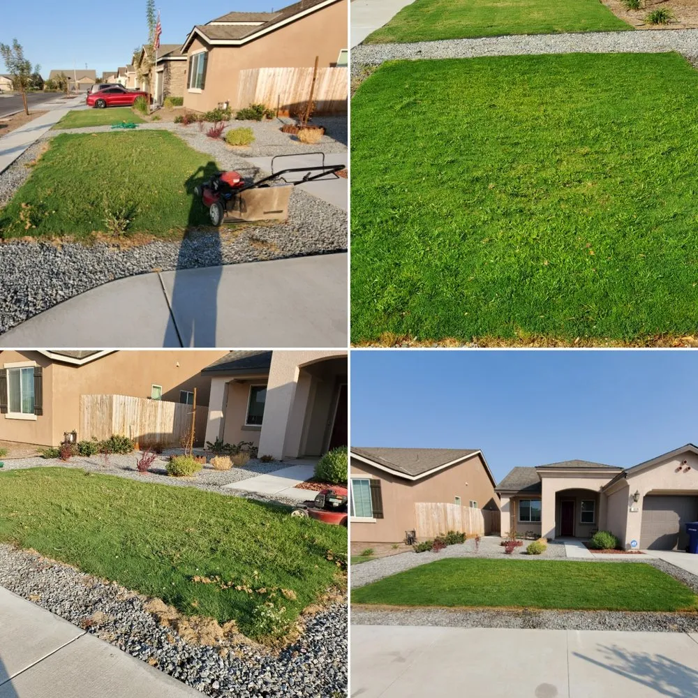 Reliable lawn mowing service for year-round maintenance across Lemoore, CA - Melena's Complete Landscape