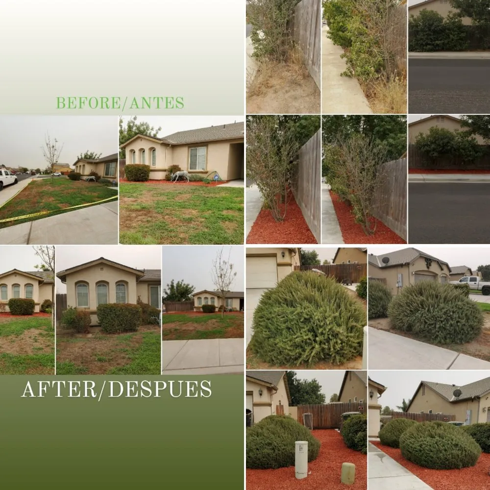 Top-rated outdoor landscaping experts serving Lemoore, CA - Melena's Complete Landscape
