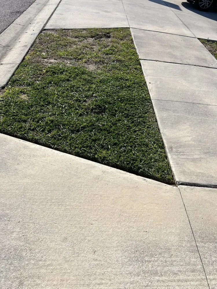 Top-rated yard maintenance near you across Davenport, FL - Melendez Landscaping