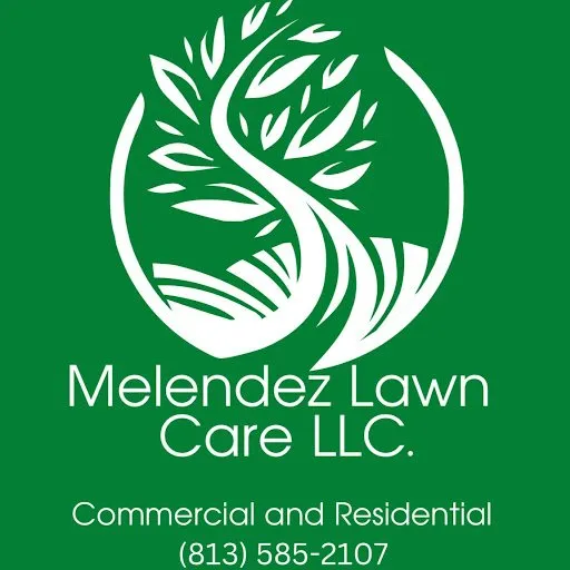 Affordable lawn mowing service in Tampa, FL - Melendez Lawn Care