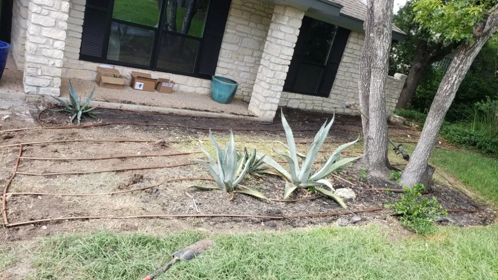 Professional yard cleanup service experts serving Hutto, TX - Melendez Services