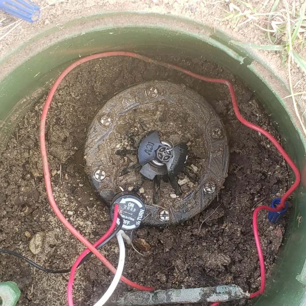 Local yard maintenance in Hutto, TX by Melendez Services