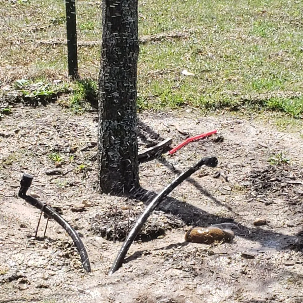 Local yard maintenance in Hutto, TX - Melendez Services