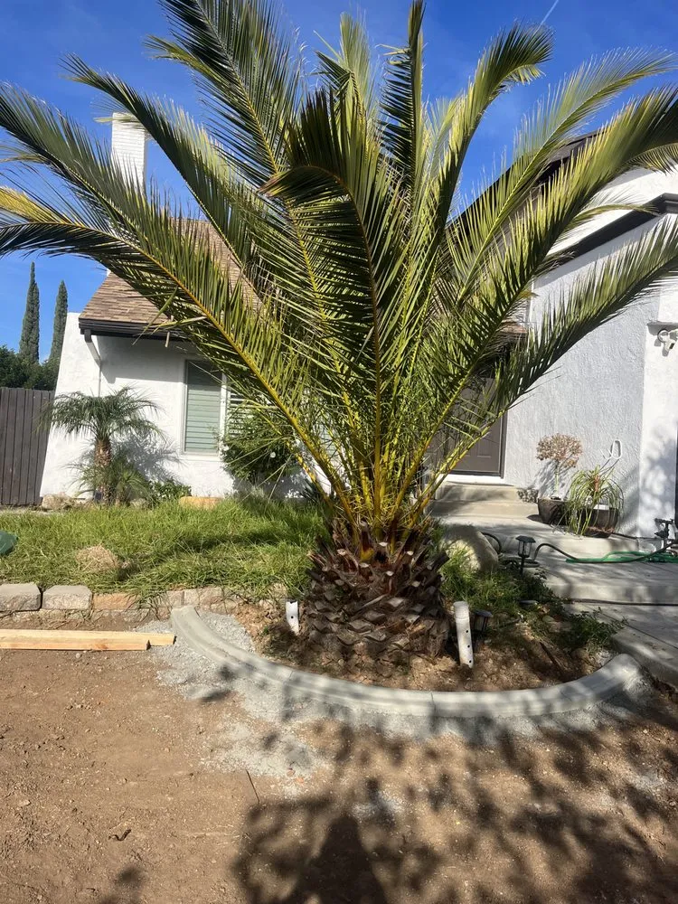 Local landscaping services for beautiful yards in Hesperia, CA by Melendrez Nursery