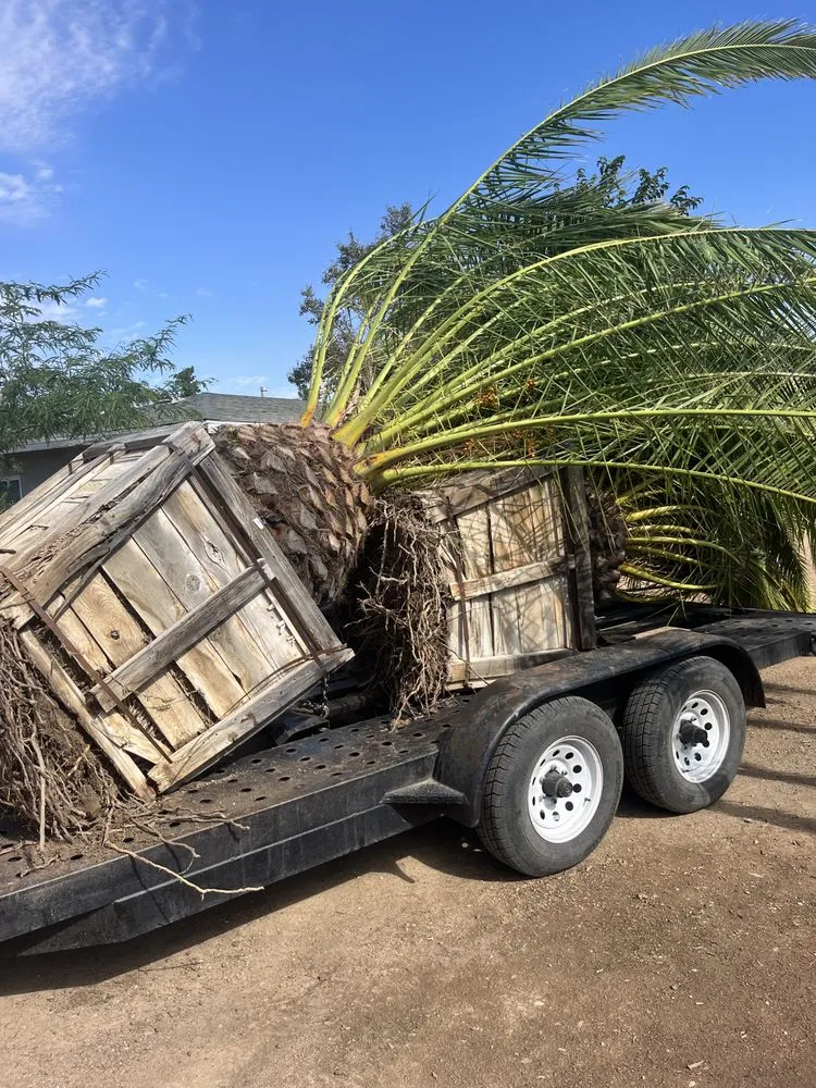 Trusted landscape installation for homes across Hesperia, CA - Melendrez Nursery
