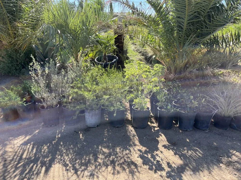 Custom lawn mowing service in Hesperia, CA - Melendrez Nursery