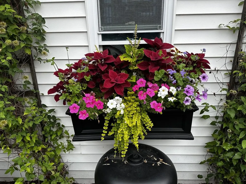 Reliable lawn mowing service for outdoor upgrades across Chicago, IL - Melesio's Landscape