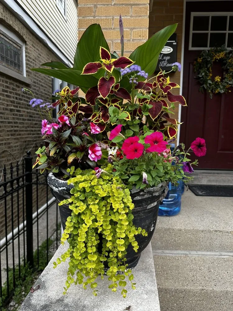 Custom yard cleanup service in Chicago, IL by Melesio's Landscape