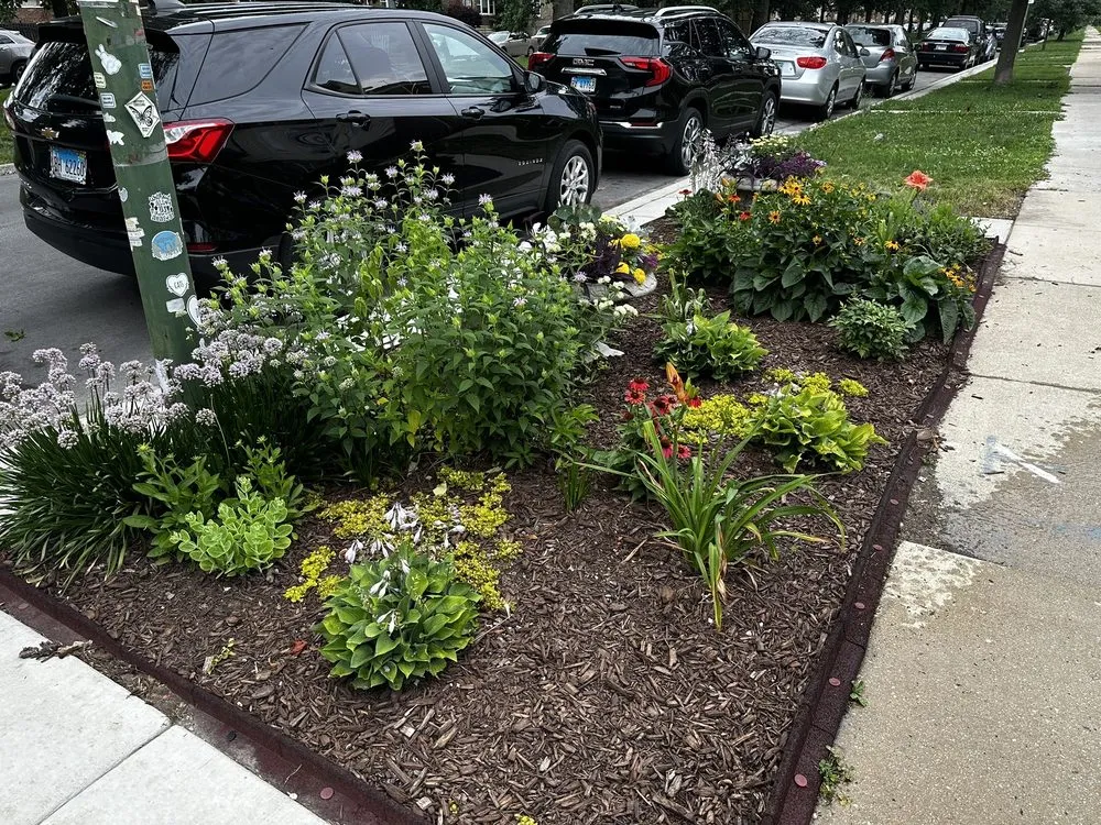 Trusted yard maintenance in Chicago, IL by Melesio's Landscape