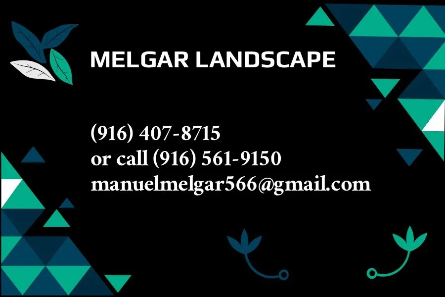 Expert garden landscaping in Sacramento, CA - Melgar Landscape
