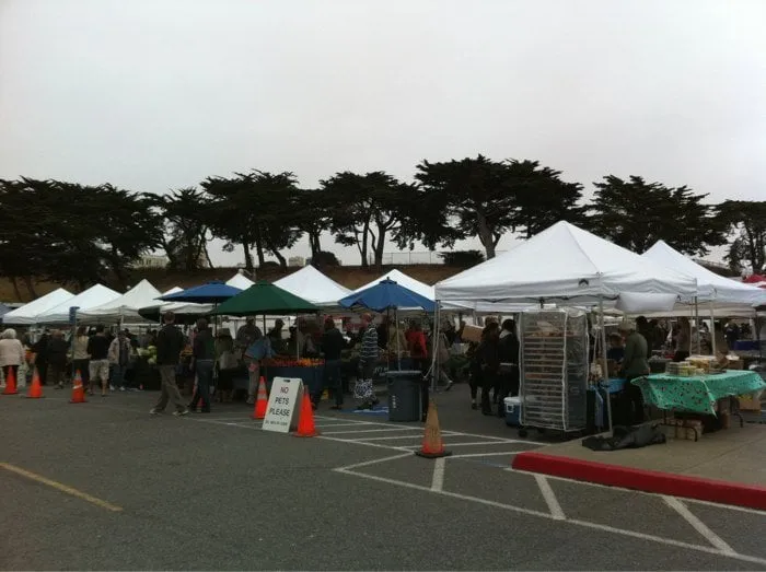 Professional yard cleanup service near you across Sedalia, MO - Melgar’s Lawn Care