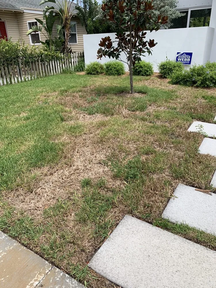 Reliable yard cleanup service in St. Petersburg, FL - Melissa & Taylor Landscaping and Lawn Service