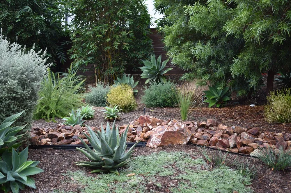 Custom lawn care service in Cardiff, CA - Melissa Langer Landscape Architecture