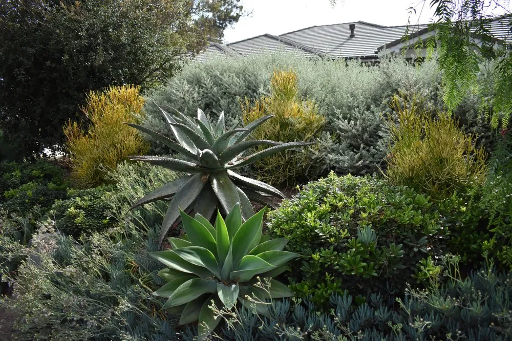 Reliable landscaping services experts serving Cardiff, CA - Melissa Langer Landscape Architecture