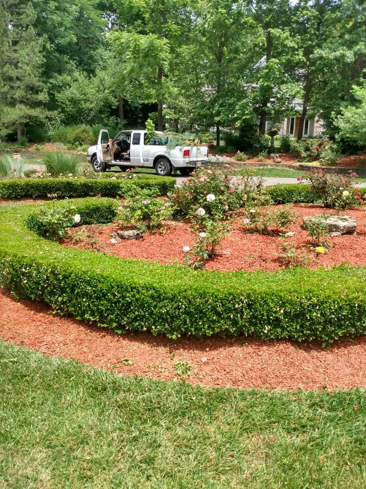Local yard maintenance in Cincinnati, OH - Melissa lawn care and design