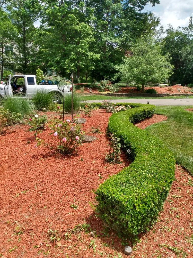 Local lawn care service experts serving Cincinnati, OH - Melissa lawn care and design