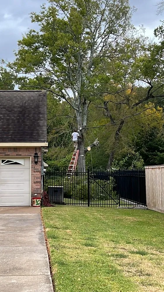 Trusted landscaping services for beautiful yards in Baytown, TX by Meliton Landscaping & Tree services