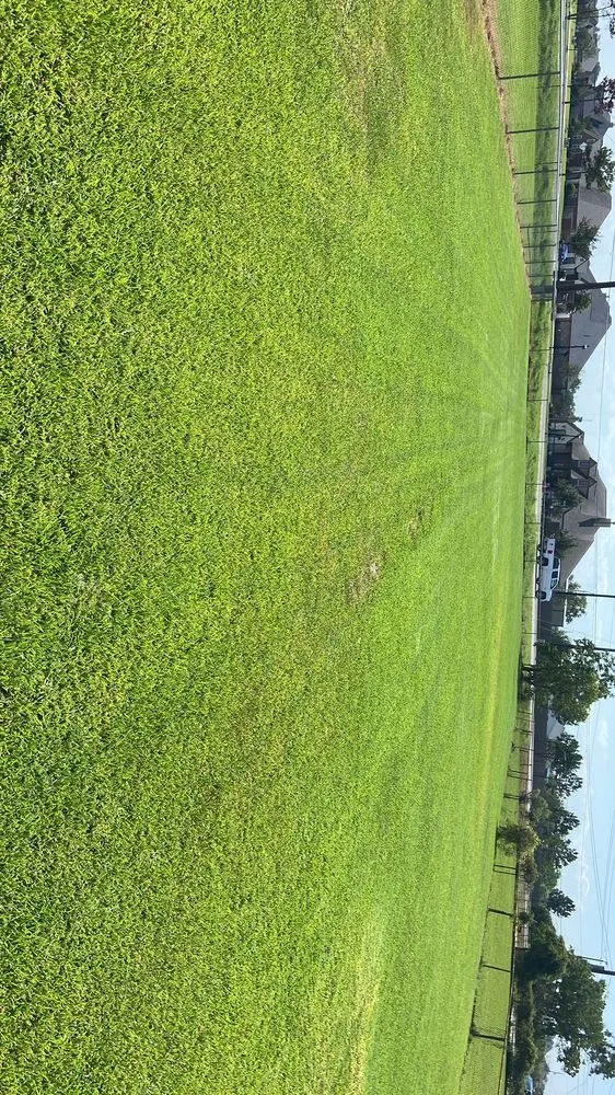 Local yard cleanup service in Baytown, TX by Meliton Landscaping & Tree services