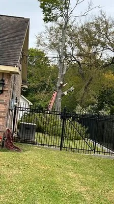 Meliton Landscaping & Tree services Logo