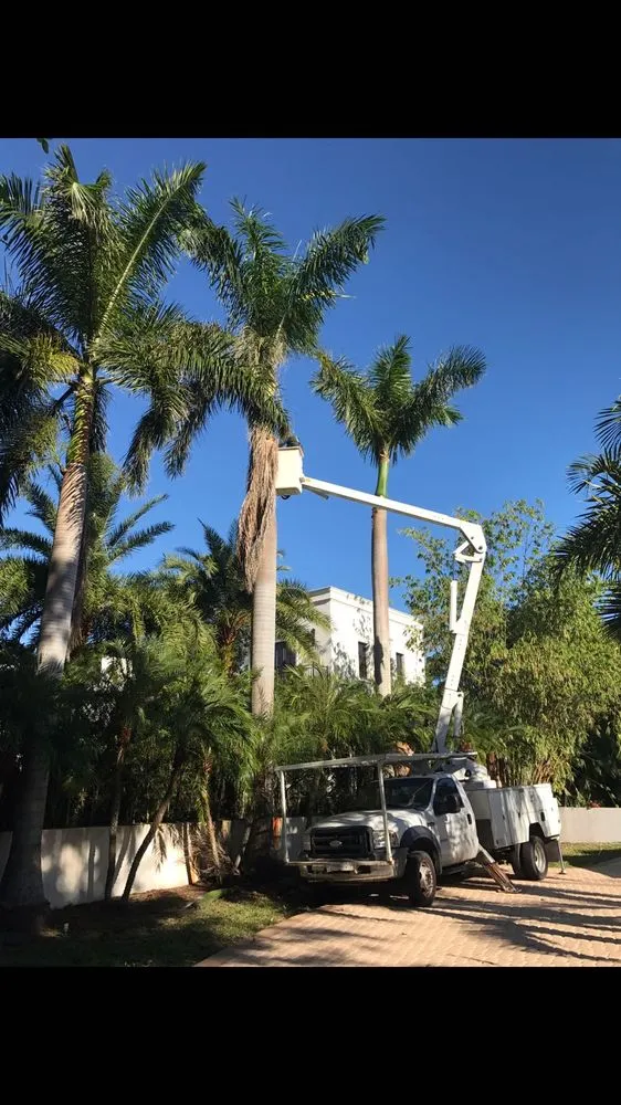 Trusted landscaping services experts serving Virginia Gardens, FL - Melkris Landscaping Services