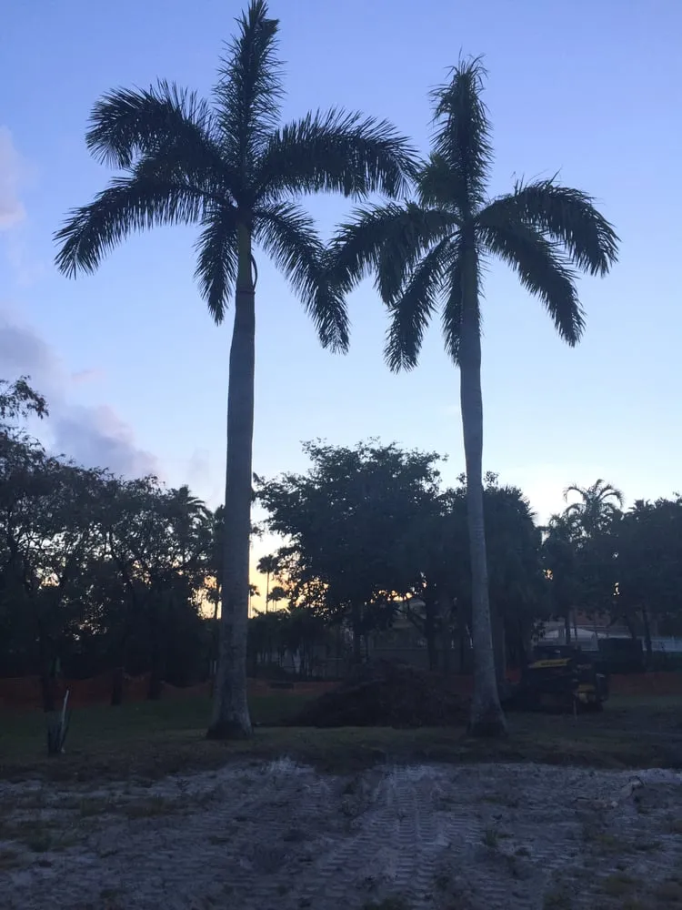 Custom garden landscaping for residential properties across Virginia Gardens, FL - Melkris Landscaping Services