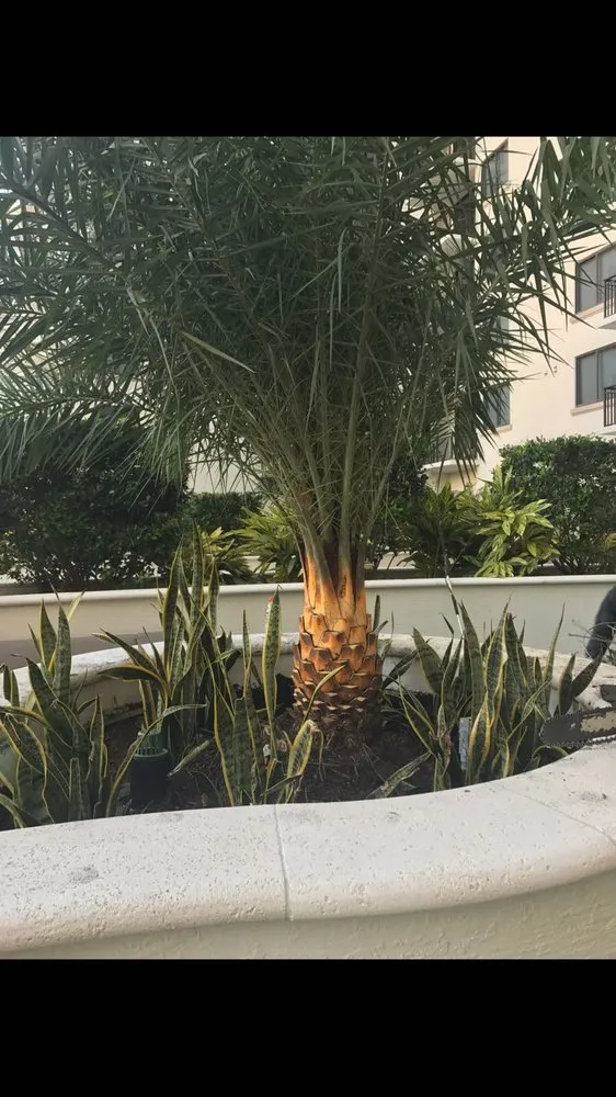 Local outdoor landscaping for outdoor upgrades in Virginia Gardens, FL by Melkris Landscaping Services