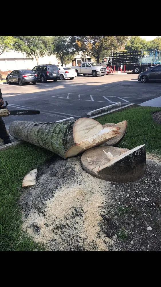 Trusted lawn care service in Virginia Gardens, FL by Melkris Landscaping Services