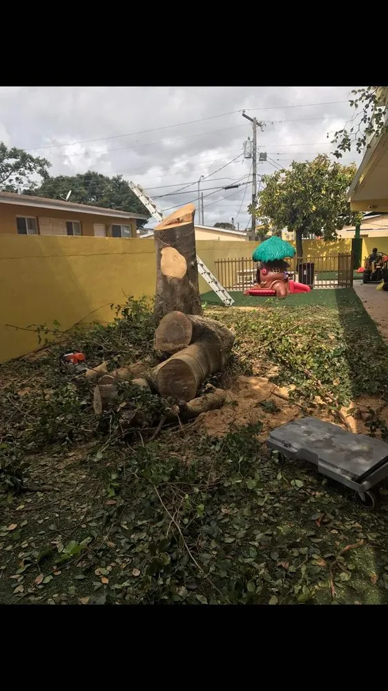 Professional garden landscaping in Virginia Gardens, FL - Melkris Landscaping Services