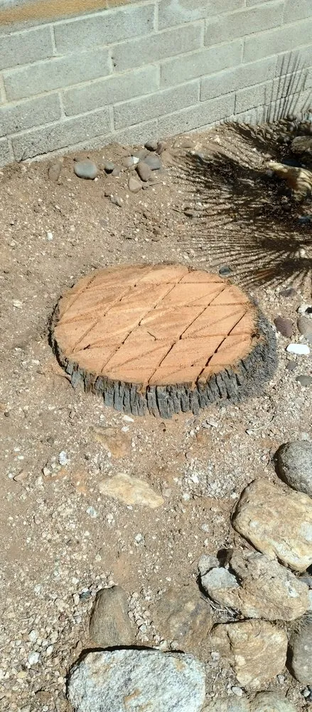 Custom lawn care service in Tucson, AZ - Mellgren Tree Service