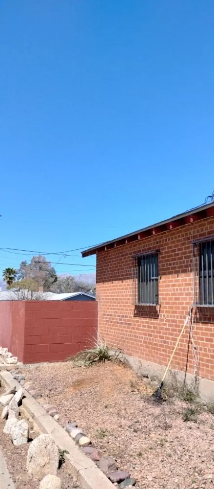 Reliable yard cleanup service in Tucson, AZ - Mellgren Tree Service