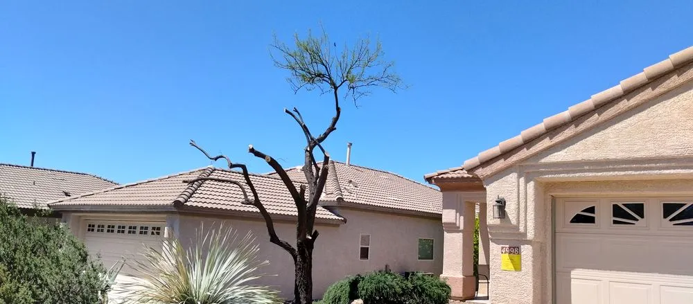 Top-rated lawn care service in Tucson, AZ - Mellgren Tree Service
