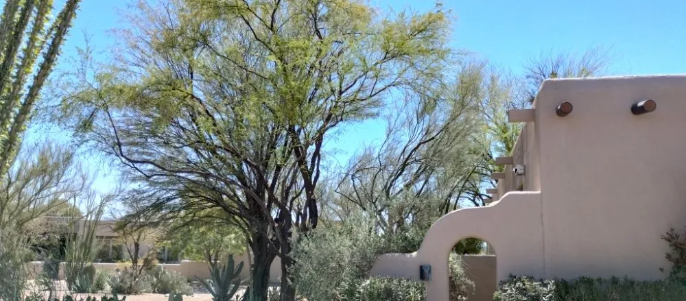 Trusted lawn mowing service for year-round maintenance across Tucson, AZ - Mellgren Tree Service