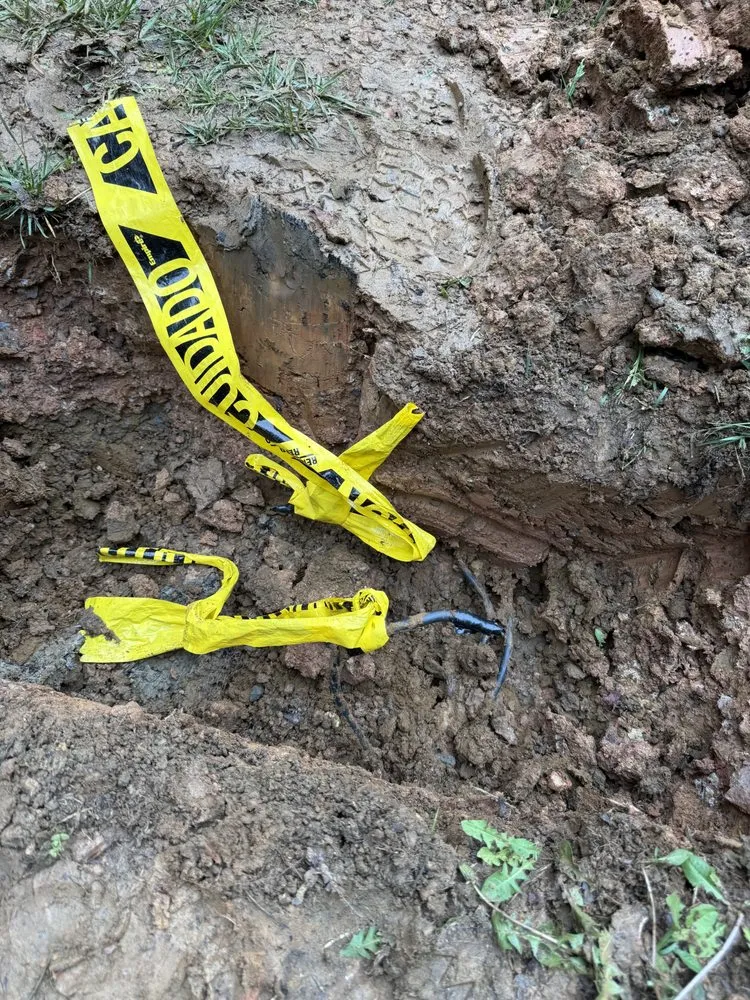 Professional yard cleanup service in Lake Shore, MD by Mellman Construction