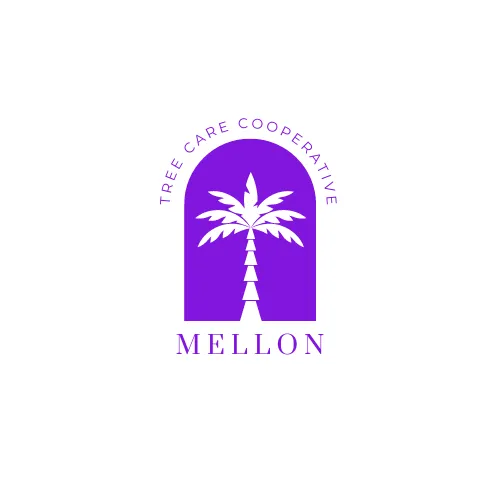 Trusted lawn care service for residential properties in Naples, FL by Mellon | Tree Service Cooperative