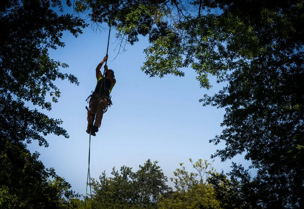 Top-rated lawn care service in Naples, FL by Mellon | Tree Service Cooperative