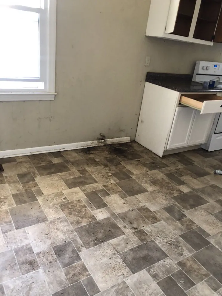 Trusted residential landscaping in Fayetteville, NC by Me’llon Enterprise Homecare