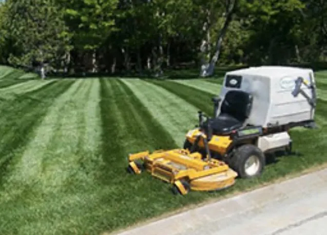 Top-rated landscape design for homes in Fayetteville, NC by Me’llon Enterprise Homecare