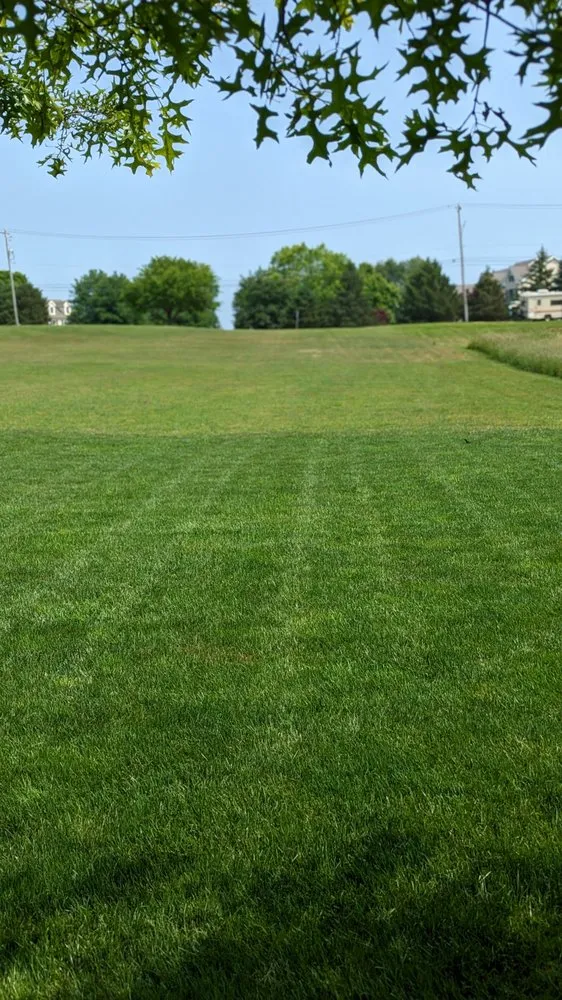 Affordable yard maintenance for residential properties in Media, PA by Mellon Family Lawn Care