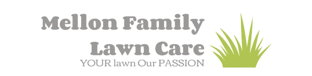 Custom yard cleanup service for residential properties in Media, PA by Mellon Family Lawn Care