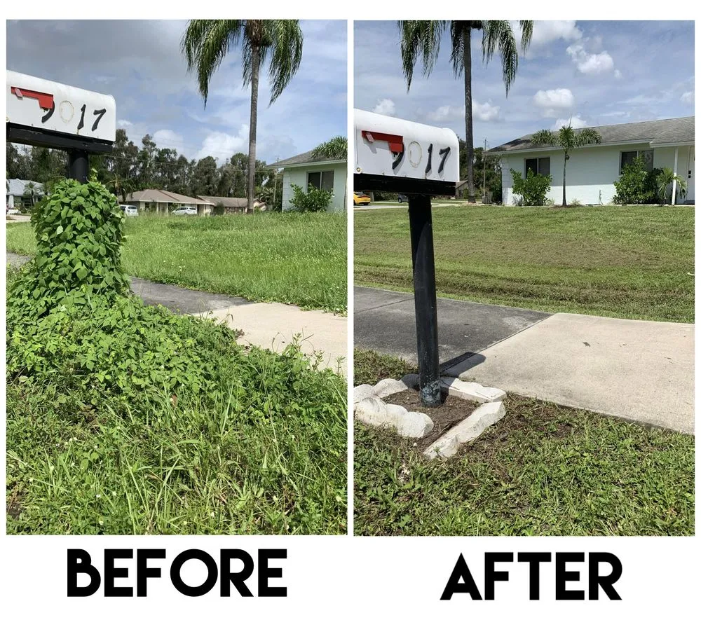 Custom yard cleanup service with custom design in Fort Myers, FL by Mello's Fresh Cuts