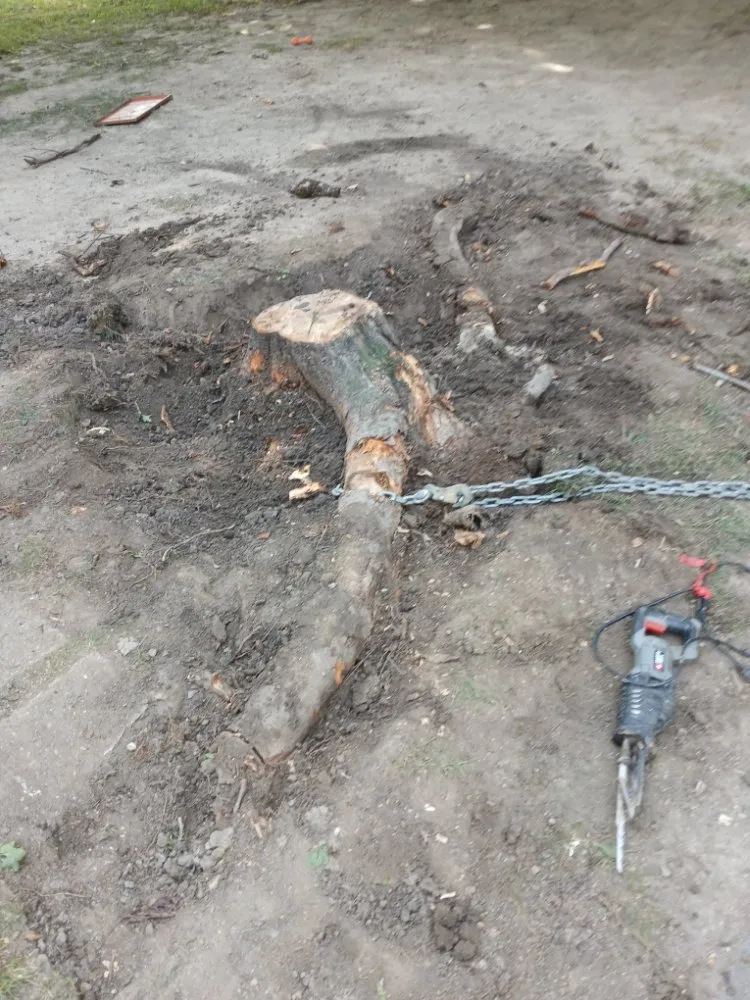 Reliable yard maintenance for outdoor upgrades in Indianapolis, IN by Mells