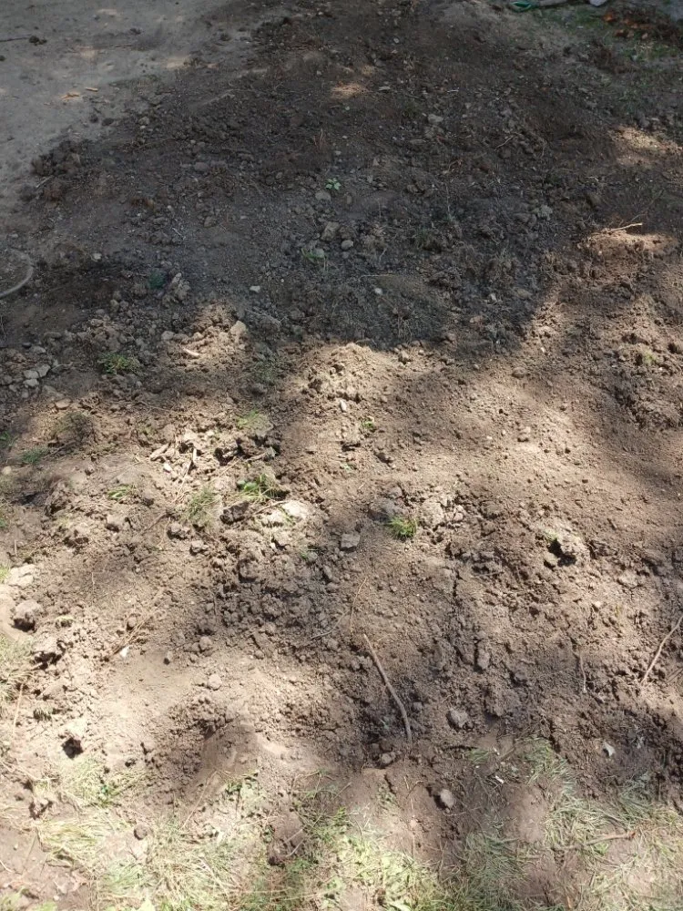 Top-rated outdoor landscaping for residential properties across Indianapolis, IN - Mells